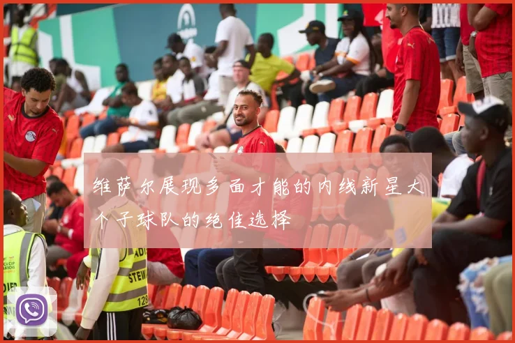 维萨尔展现多面才能的内线新星大个子球队的绝佳选择