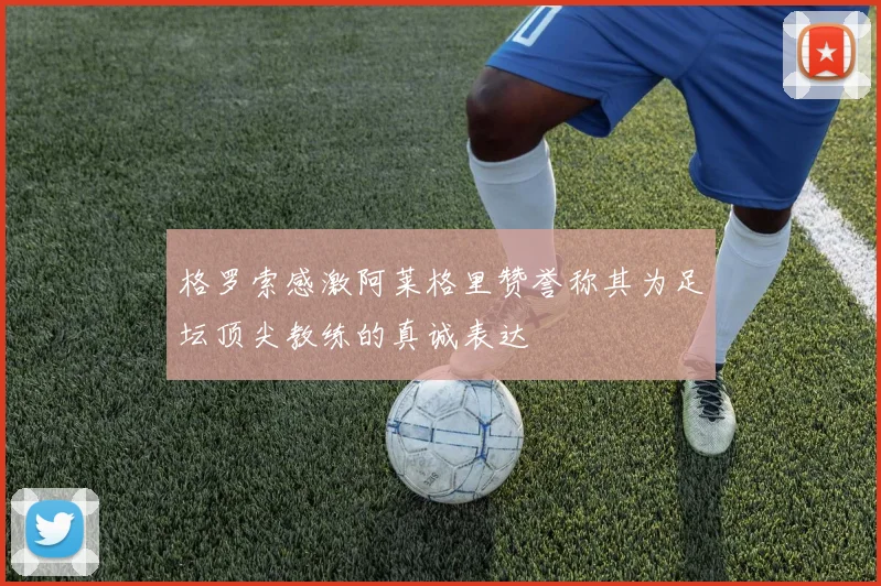 格罗索感激阿莱格里赞誉称其为足坛顶尖教练的真诚表达